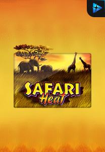 Safari Heat